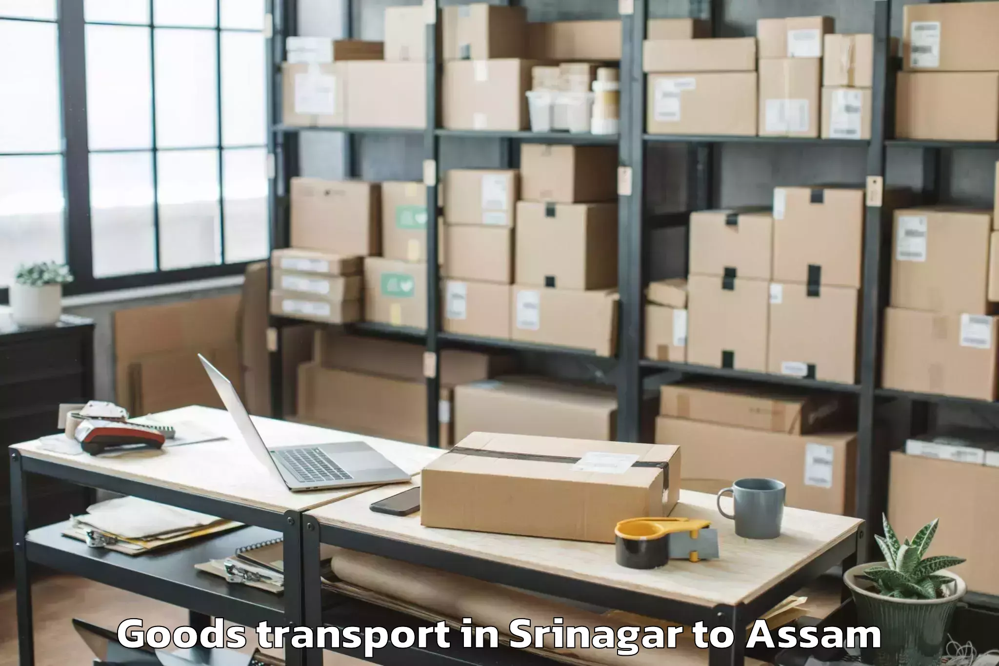 Book Your Srinagar to Silapathar Goods Transport Today